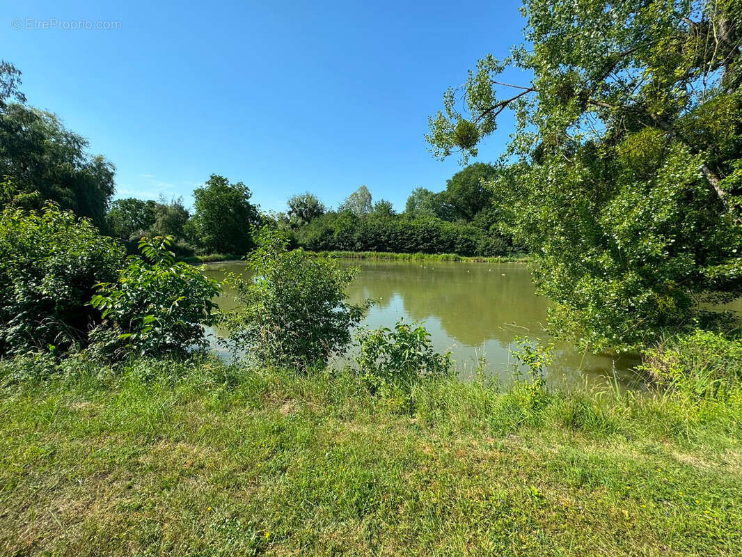 Propriété avec étangs, maison de plain pied au cœur de 3 hectares - photo 15