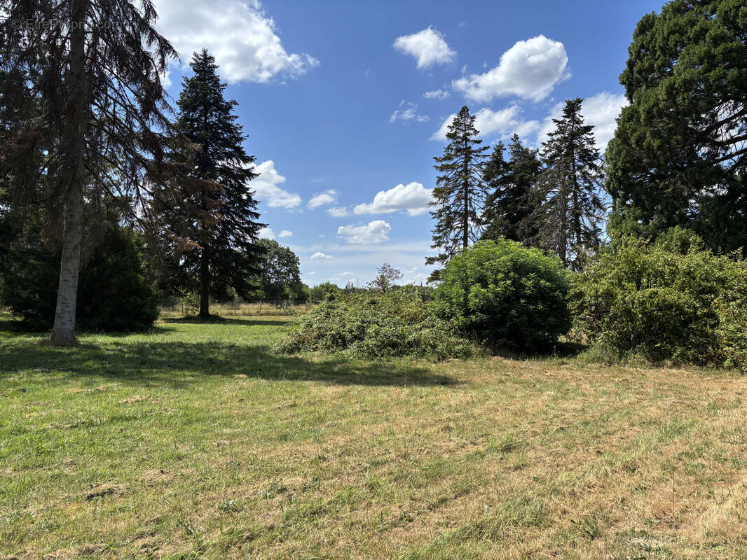Terrain à LA FERTE-SAINT-AUBIN
