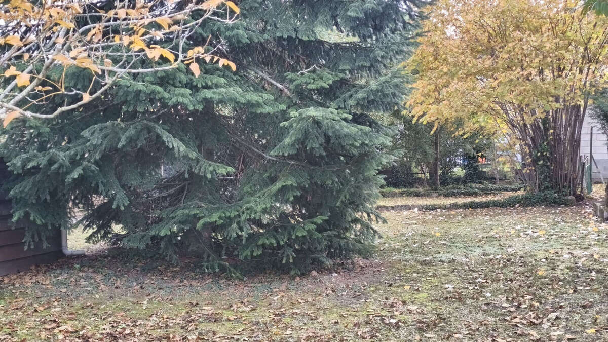 Maison à VIGNEUX-SUR-SEINE