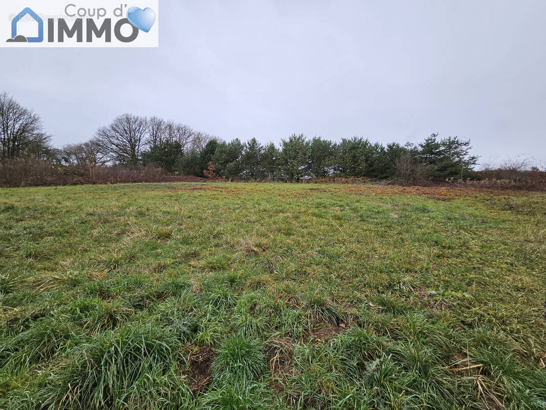Terrain à SAINT-MARDS-EN-OTHE