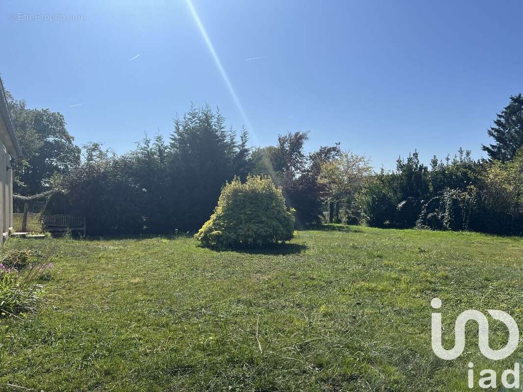 Photo 6 - Maison à JOUY-SUR-MORIN