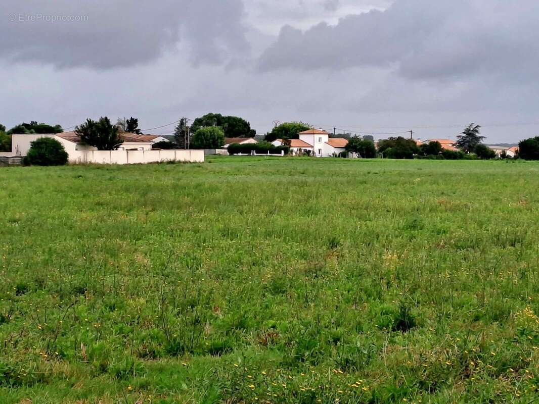 Terrain 244 m² à Saint-Georges-De-Didonne  - photo 2