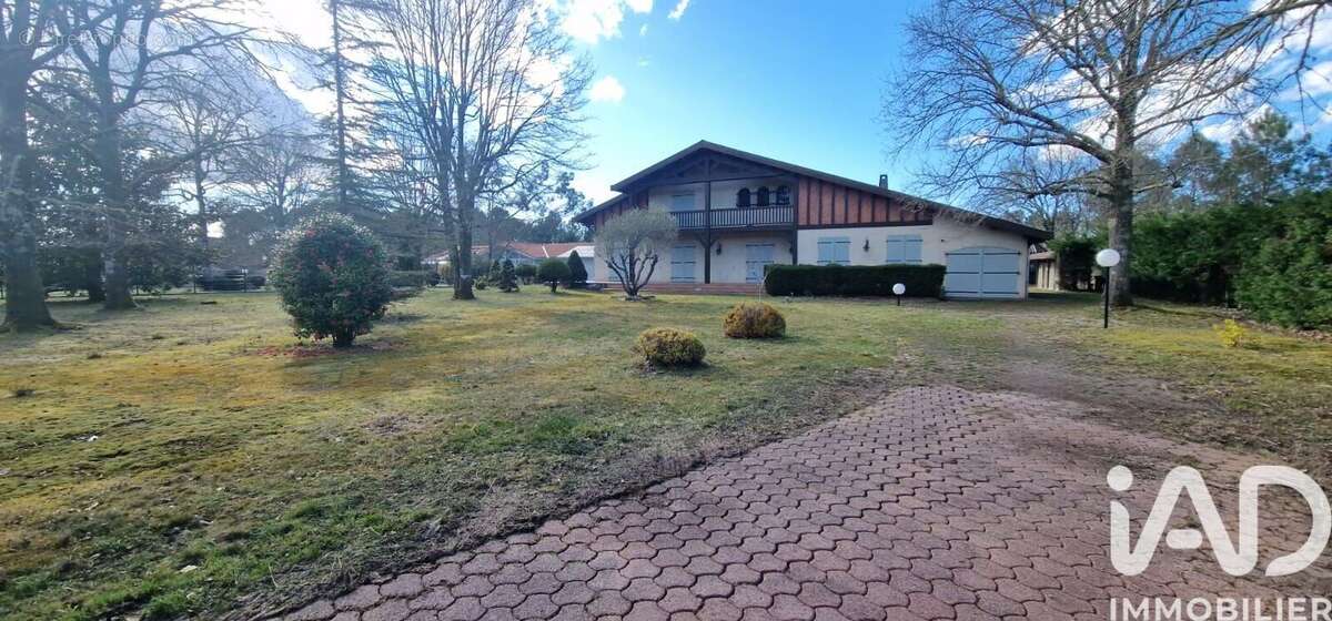 Photo 9 - Maison à PARENTIS-EN-BORN