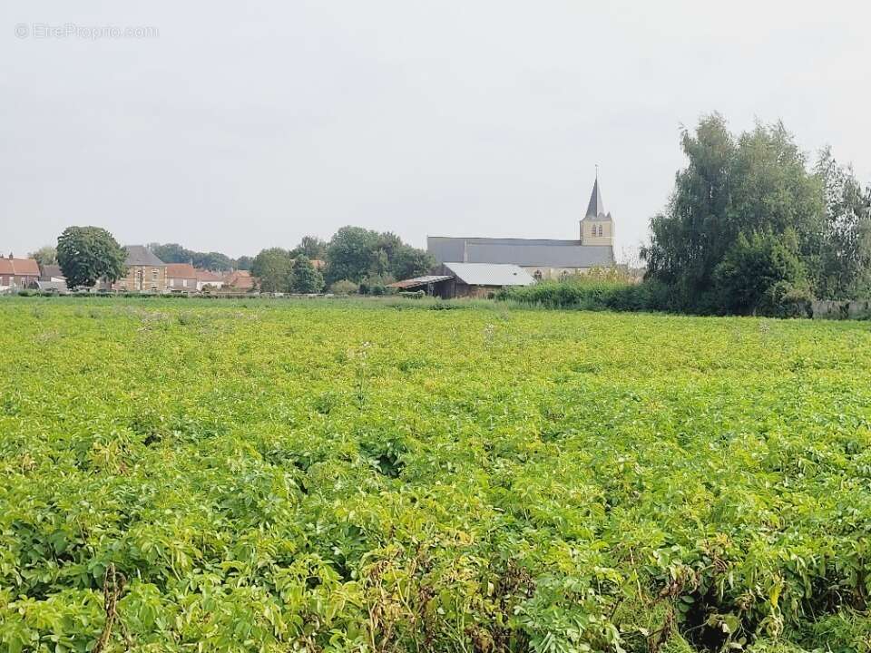 Terrain à AUDRUICQ
