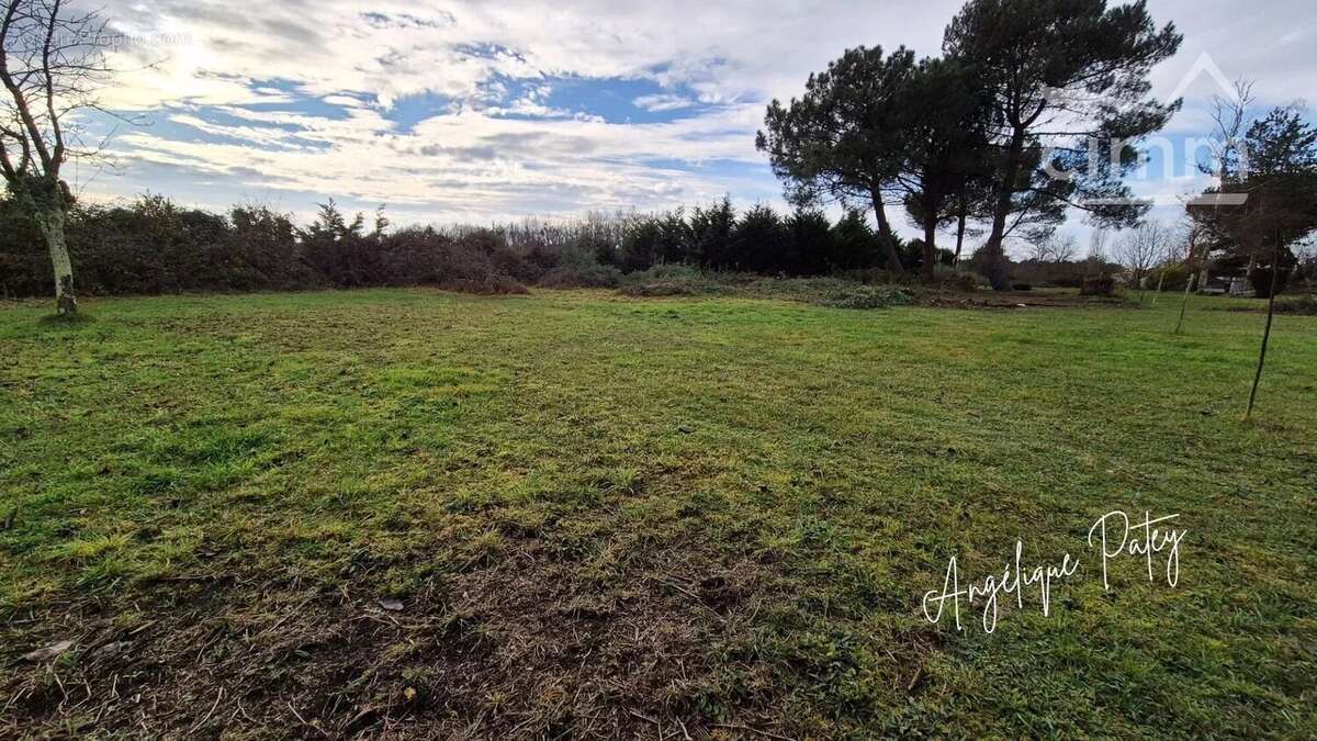 Terrain à CARTELEGUE