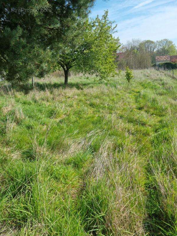 FERMETTE 70 m² avec une TRES BELLE GRANGE refaite a neuf - photo 9