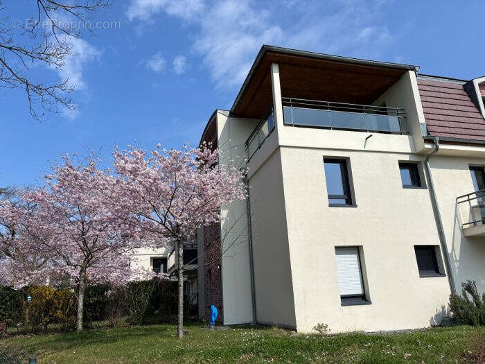 Appartement à WITTELSHEIM
