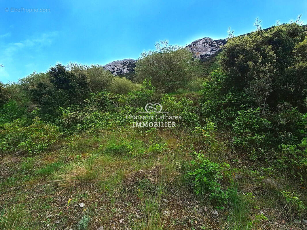Terrain 51314 m² à Saint-Paul-De-Fenouillet  - photo 4