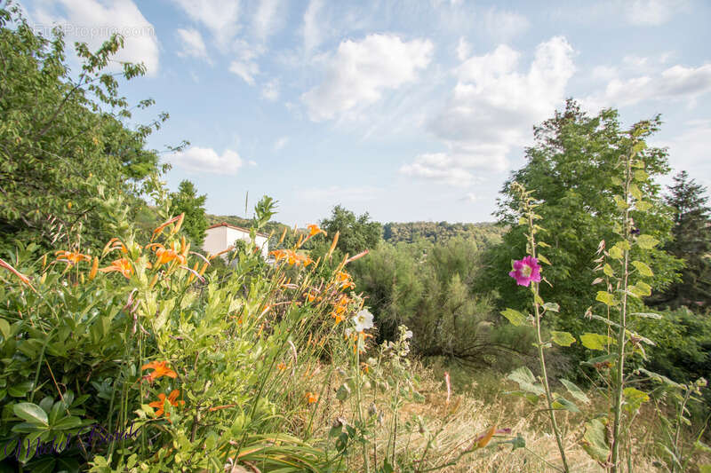 Dpt Rhône (69), à vendre CHAPONNAY maison P6 de 160 m² - Terrain de 1 450,00 m² - photo 12