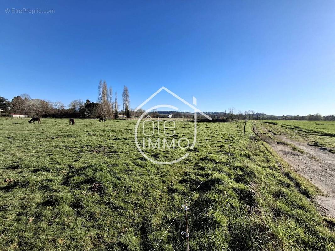 Terrain à SAINT-LAURENT-DES-VIGNES