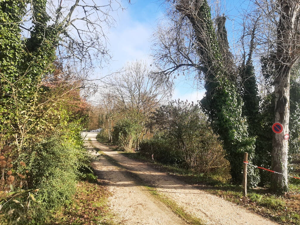 Terrain à VORGES-LES-PINS