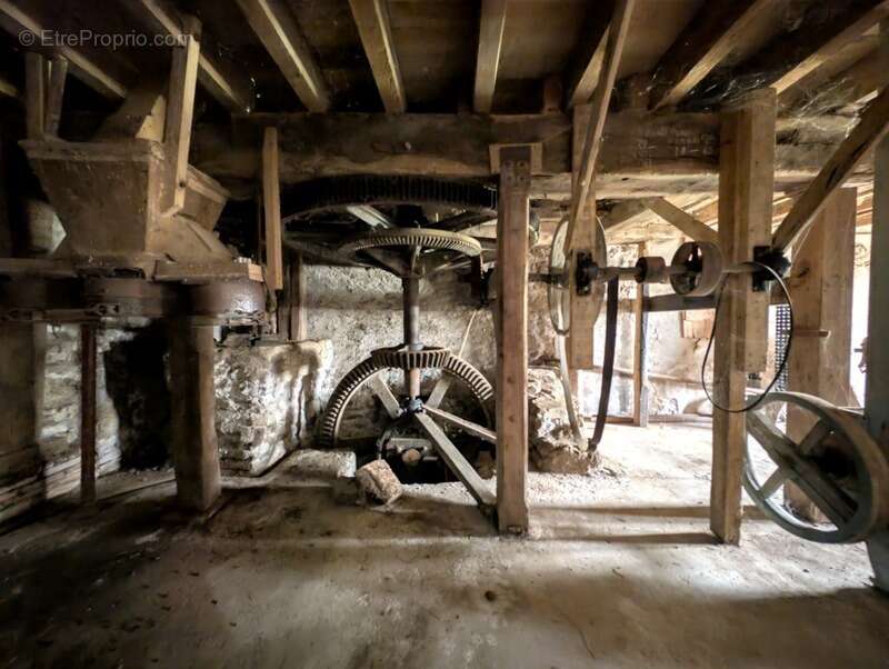 Ancien moulin du xviiie siècle sur plus d'un hectare de terrain – chassigny sous dun (71) - photo 20