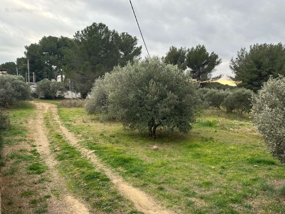 Terrain à SAINT-CHAMAS