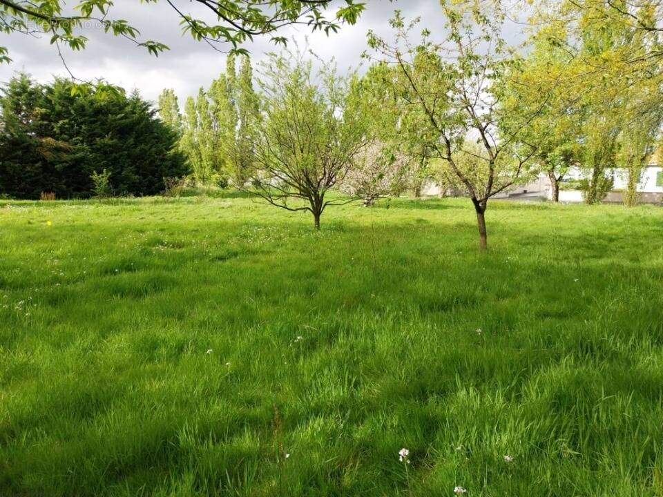 Terrain à BEAUFOU
