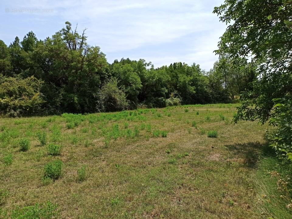 Terrain à SENAS