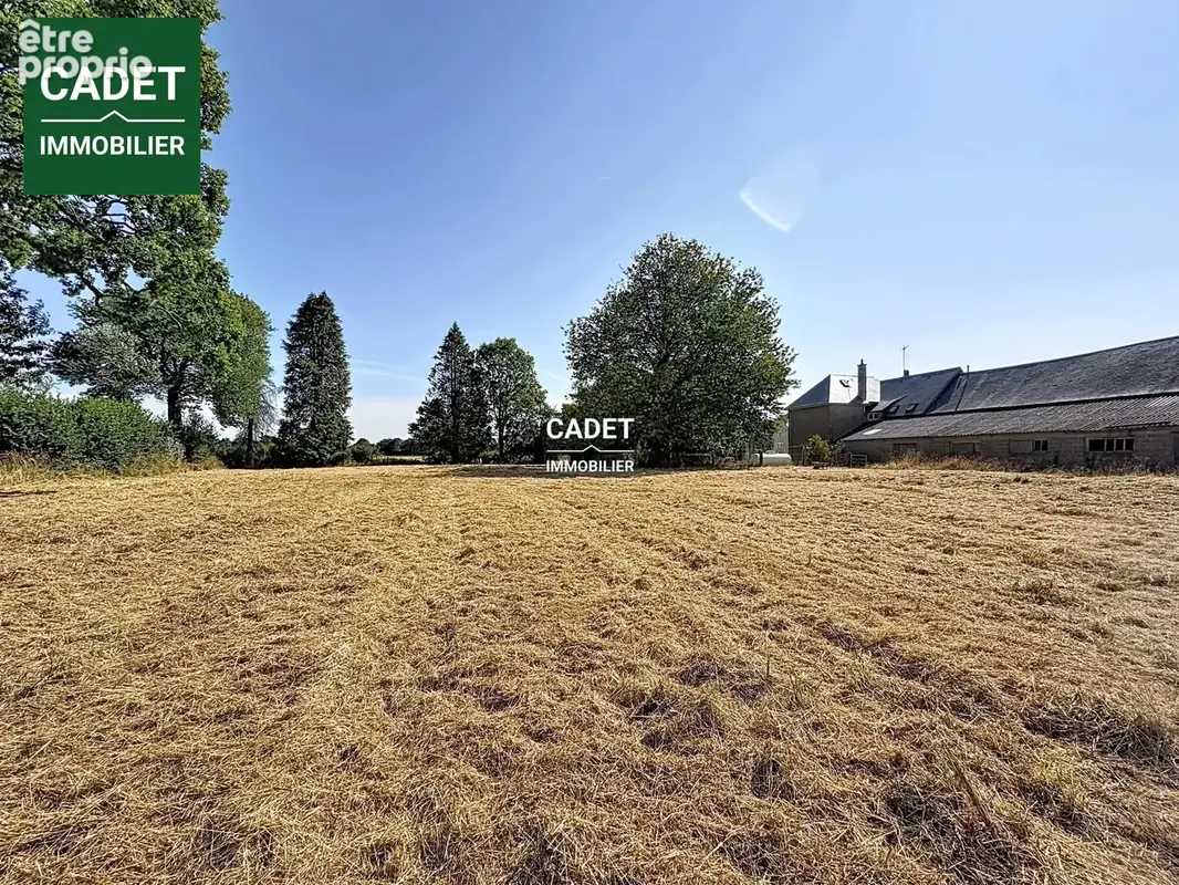 Terrain 2 400 m² à vendre à Hocquigny (50320) - photo 2