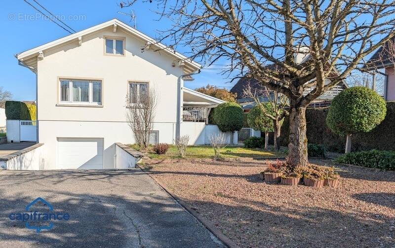 Maison à BLOTZHEIM