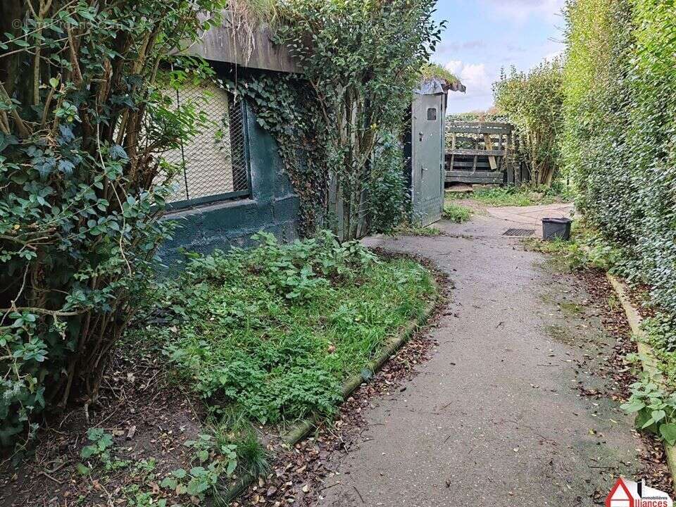 Photo 8 - Terrain à SAIGNEVILLE