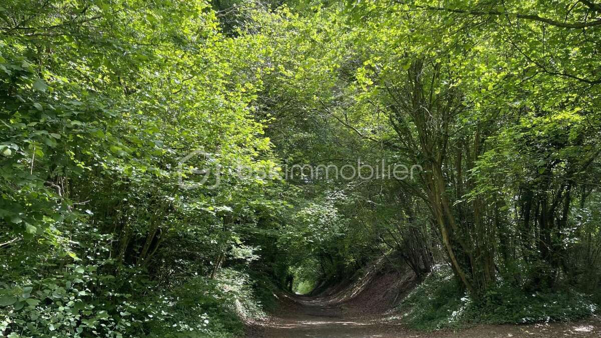Terrain à ULLY-SAINT-GEORGES