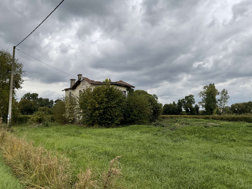 Terrain à SAINT-EMILION