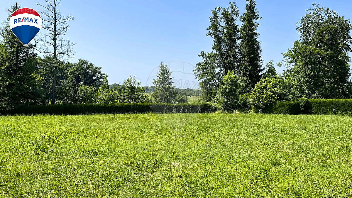 Terrain à NEUWILLER