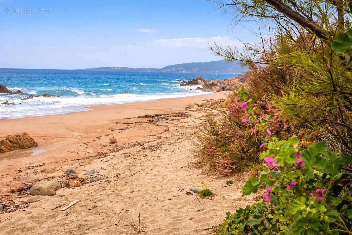 Appartement à OLMETO