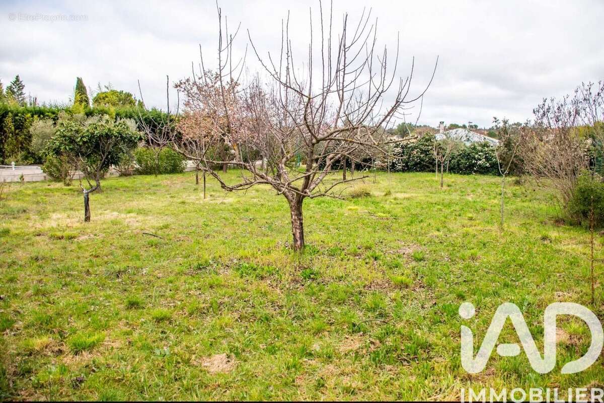 Photo 3 - Maison à SAINT-MAXIMIN-LA-SAINTE-BAUME