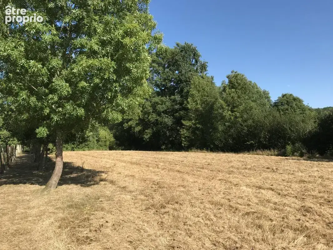 Photo Terrain à Saint-Nexans au prix de 35 000€