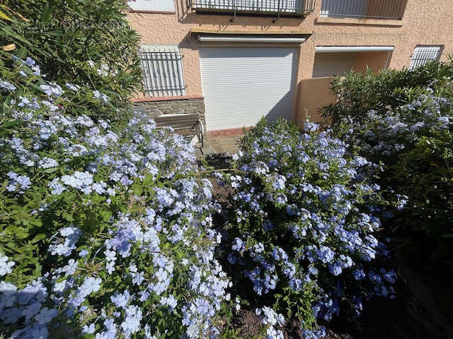Appartement à COLLIOURE