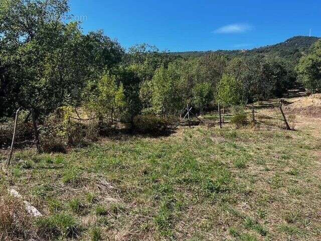 Terrain à OLMET-ET-VILLECUN