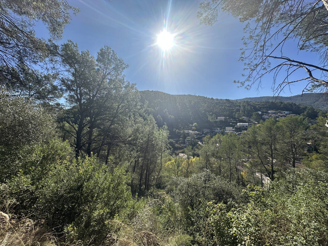 Terrain à SOLLIES-TOUCAS