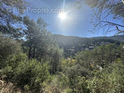 Terrain à SOLLIES-TOUCAS