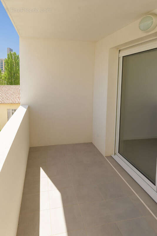 Special investisseur grand studio de 31,05 - photo 4