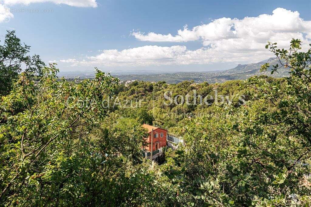 Terrain à ASPREMONT
