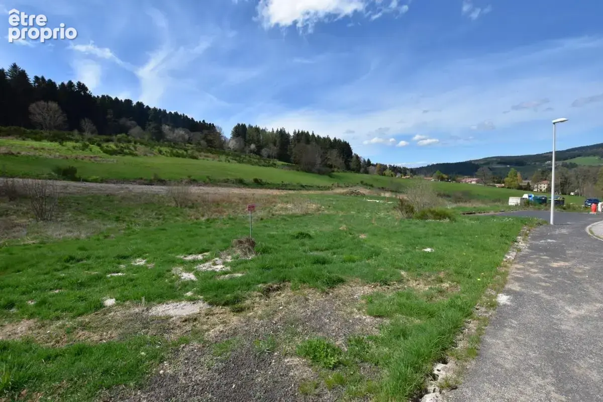 Terrain à bâtir – Vue dégagée – Cadre paisible – Proche commodités de 756 m² à DUNIERES (43) - photo 3