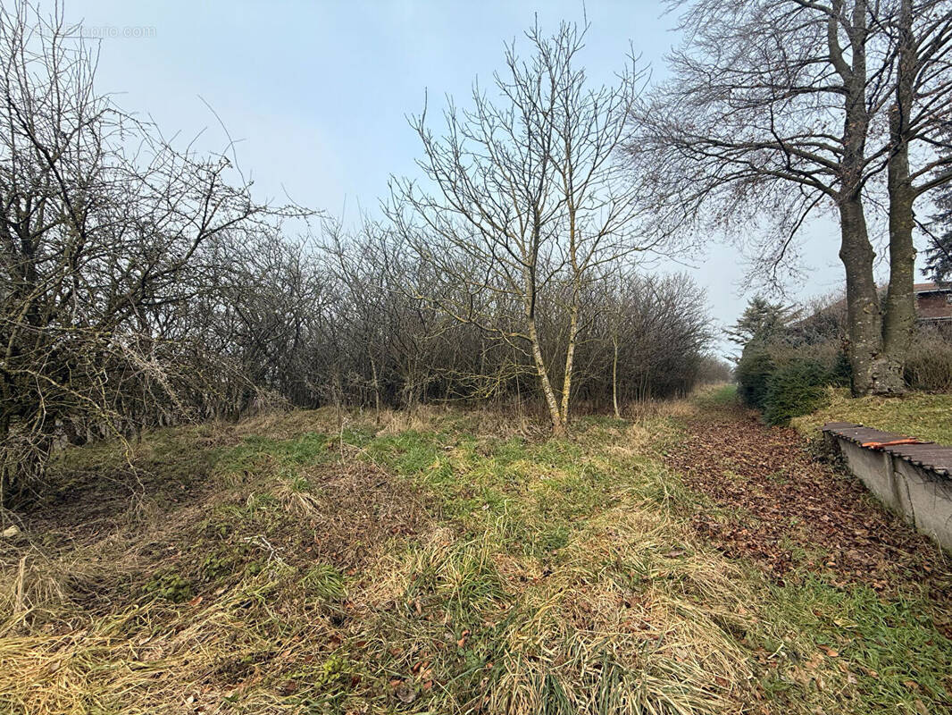 Terrain à EINVAUX