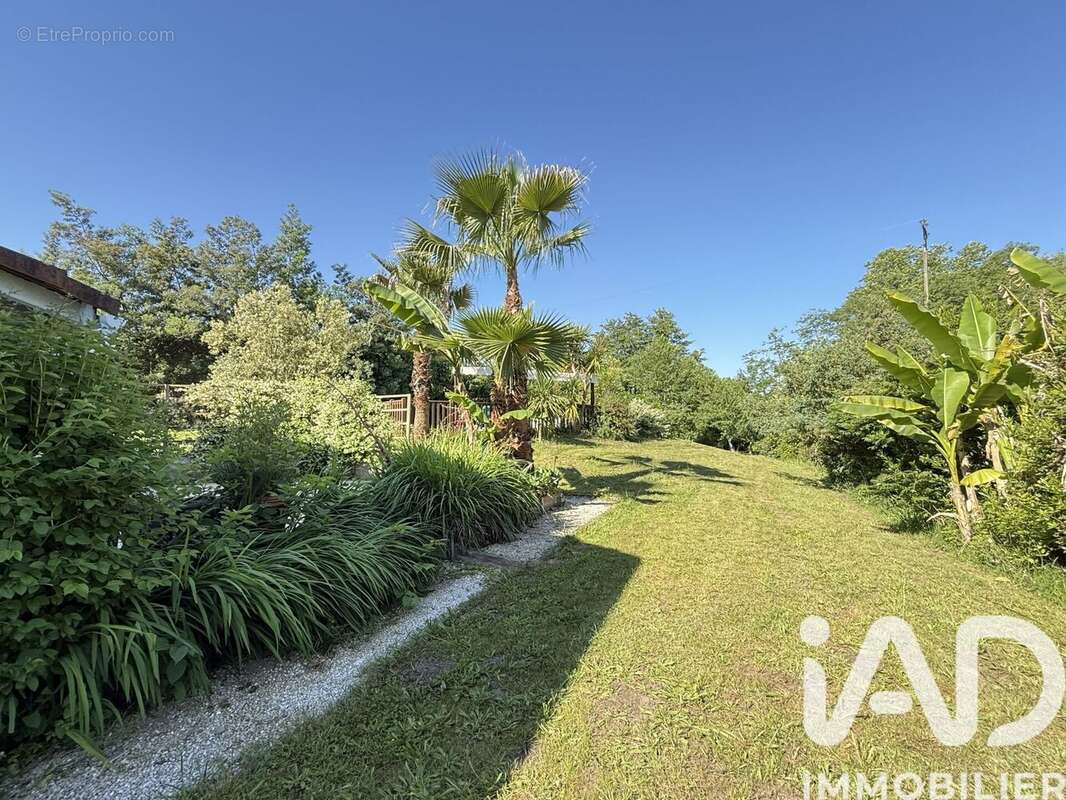 Maison 242 m² à Josse  - photo 6