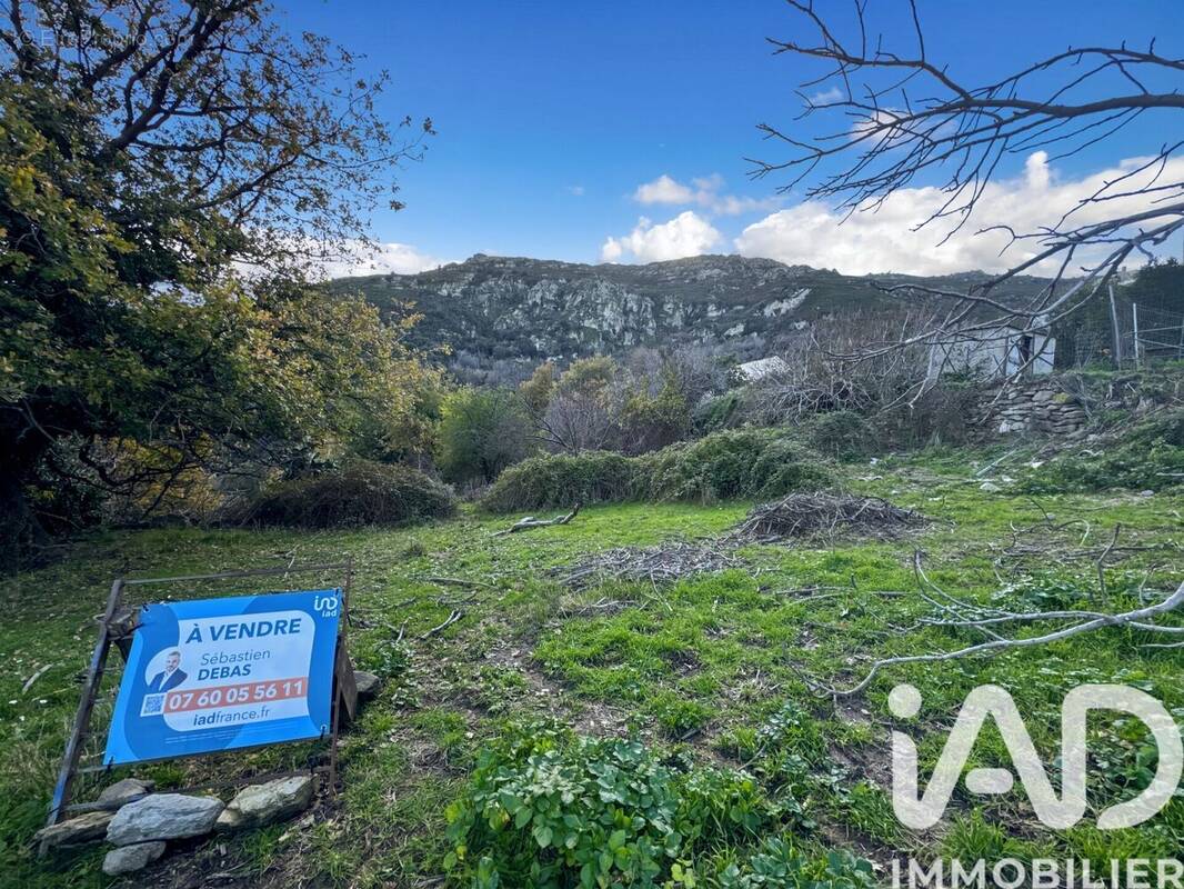 Photo 1 - Terrain à SANTO-PIETRO-DI-TENDA