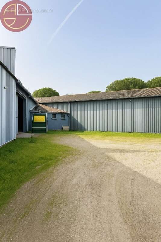 Commerce à PINS-JUSTARET