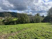 Terrain à POULE-LES-ECHARMEAUX