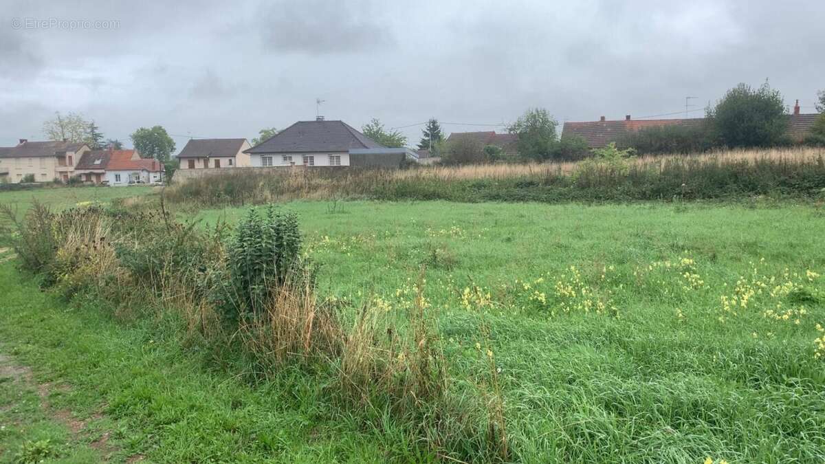 Photo 5 - Terrain à CHAMBLET