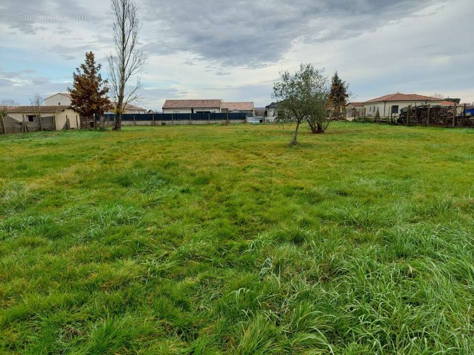 Terrain à VILLEBRUMIER