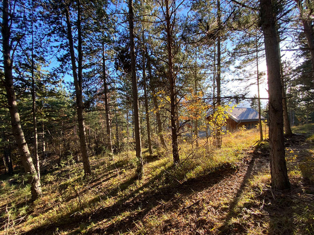 Photo 4 - Terrain à EMBRUN