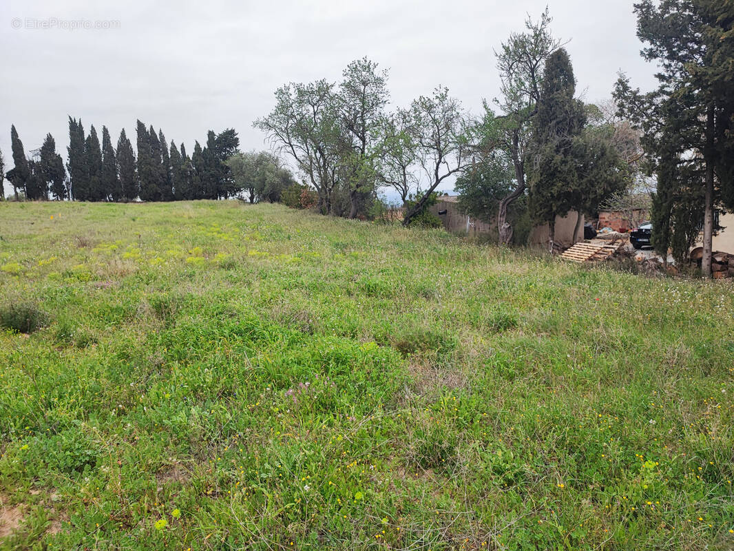 Terrain à CASTELNAU-D'AUDE