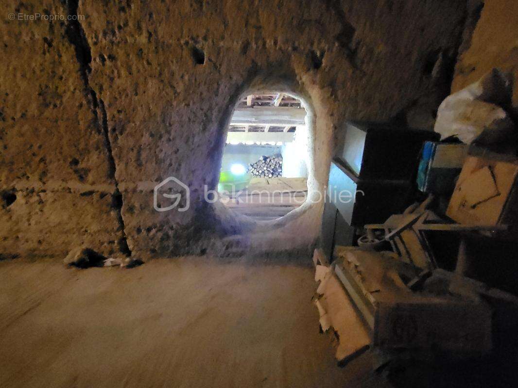 Maison T8 197 m2 terrain 1 ah - photo 12