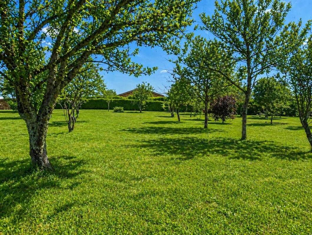 Terrain à MENSIGNAC