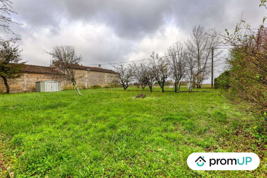 Terrain à BOUTIERS-SAINT-TROJAN