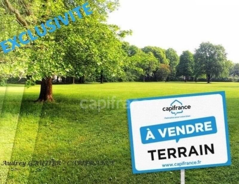 Terrain à SAINT-HILAIRE-DE-CHALEONS