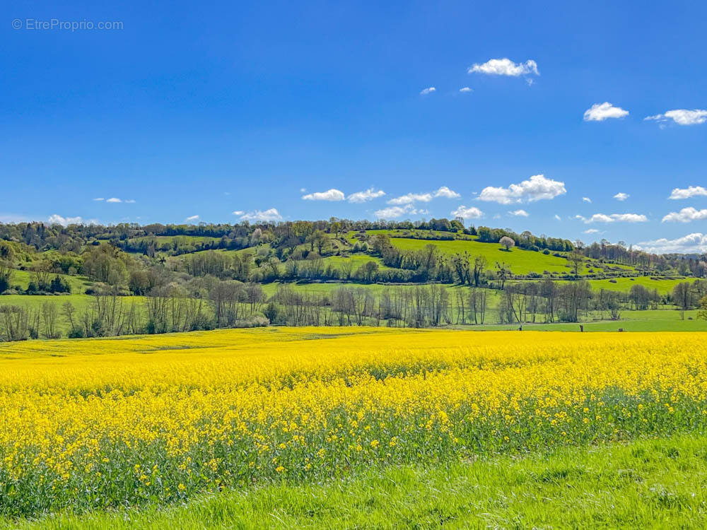 Maison à GUERQUESALLES