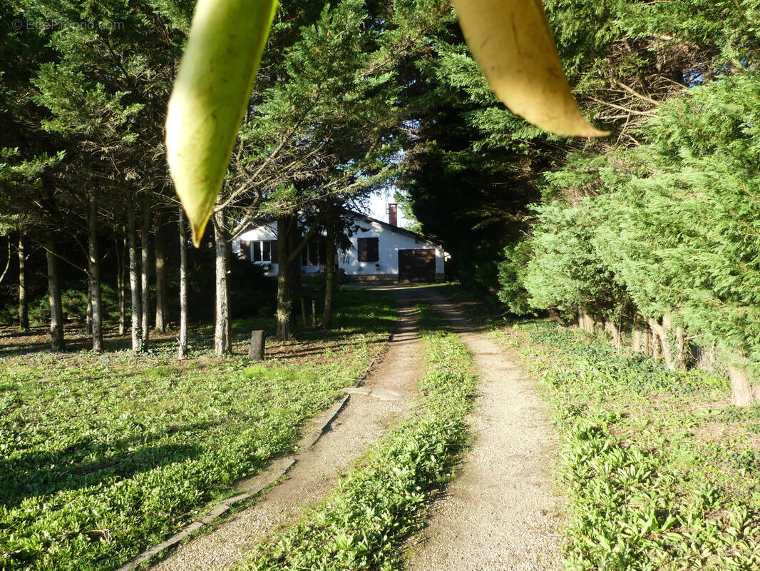 Maison à ROMANECHE-THORINS